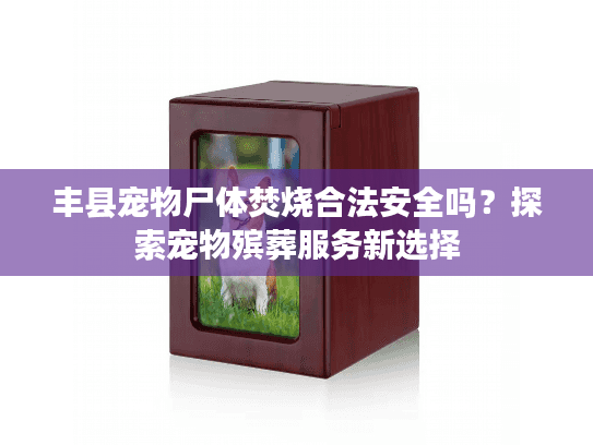 丰县宠物尸体焚烧合法安全吗？探索宠物殡葬服务新选择
