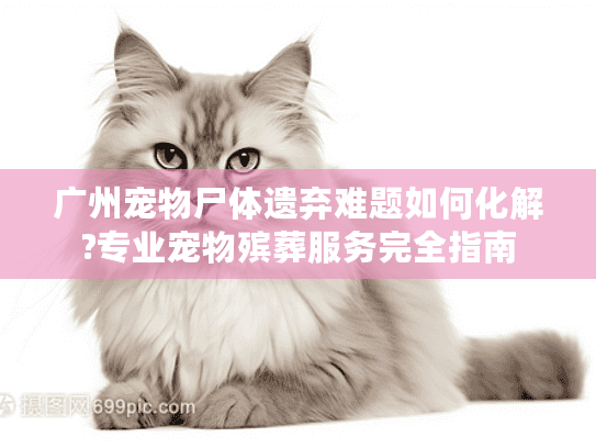 广州宠物尸体遗弃难题如何化解?专业宠物殡葬服务完全指南