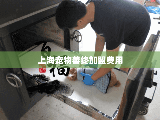 上海宠物善终加盟费用