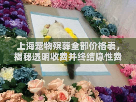 上海宠物殡葬全部价格表，揭秘透明收费并终结隐性费用困扰