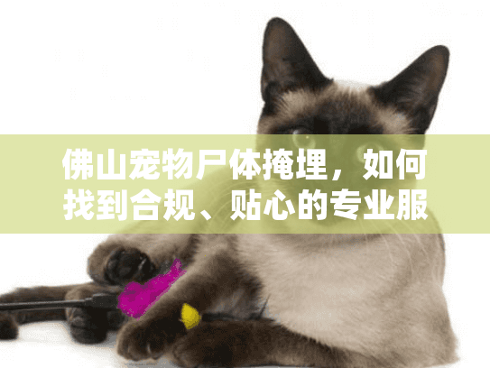 佛山宠物尸体掩埋，如何找到合规、贴心的专业服务？