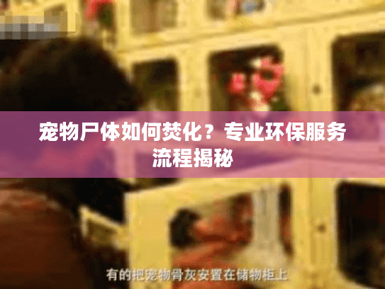 宠物尸体如何焚化？专业环保服务流程揭秘