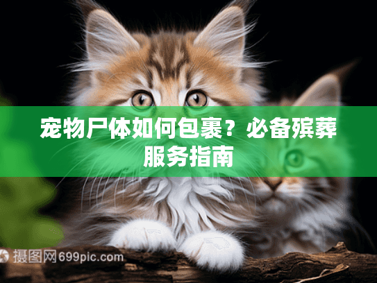 宠物尸体如何包裹？必备殡葬服务指南