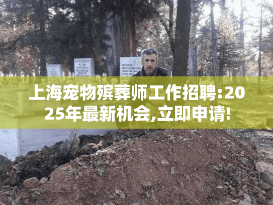 上海宠物殡葬师工作招聘:2025年最新机会,立即申请!