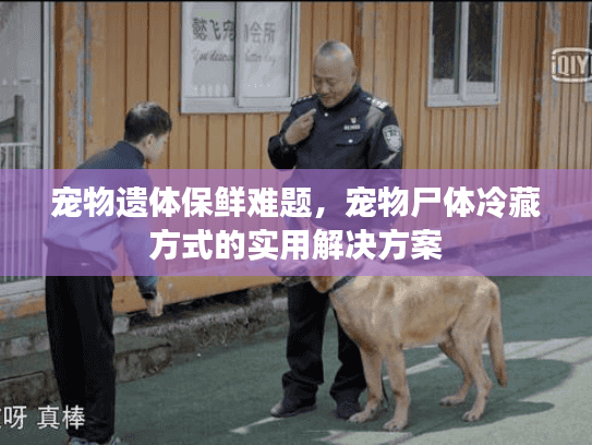 宠物遗体保鲜难题，宠物尸体冷藏方式的实用解决方案