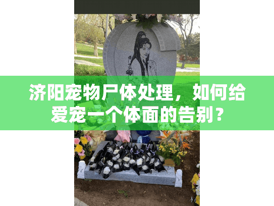 济阳宠物尸体处理，如何给爱宠一个体面的告别？