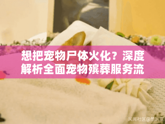 想把宠物尸体火化？深度解析全面宠物殡葬服务流程