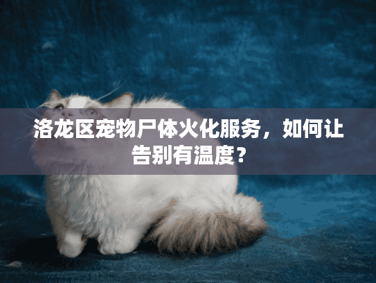 洛龙区宠物尸体火化服务，如何让告别有温度？
