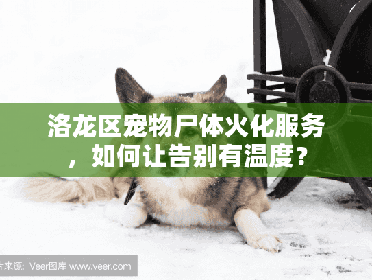 洛龙区宠物尸体火化服务，如何让告别有温度？