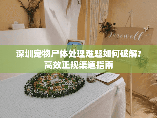 深圳宠物尸体处理难题如何破解?高效正规渠道指南