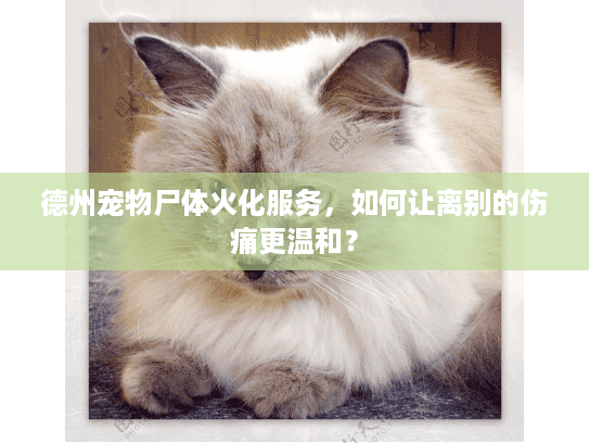 德州宠物尸体火化服务，如何让离别的伤痛更温和？