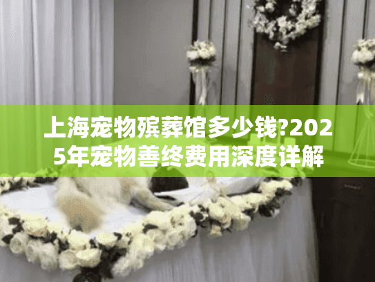 上海宠物殡葬馆多少钱?2025年宠物善终费用深度详解