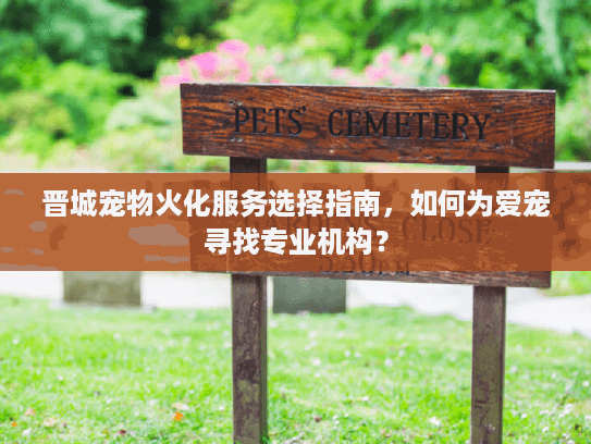 晋城宠物火化服务选择指南,如何为爱宠寻找专业机构? 晋城宠物火化服务选择指南,如何为爱宠寻找专业机构?