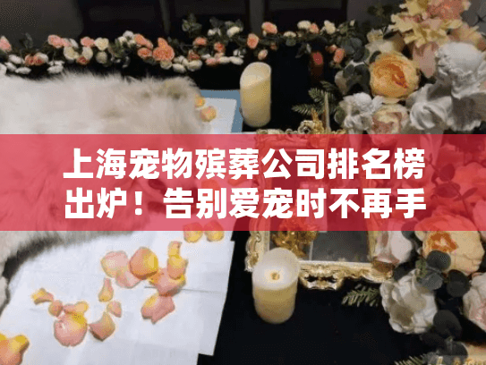 上海宠物殡葬公司排名榜出炉！告别爱宠时不再手忙脚乱