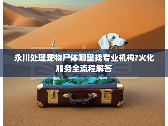 永川处理宠物尸体哪里找专业机构?火化服务全流程解答