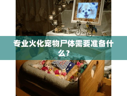专业火化宠物尸体需要准备什么？