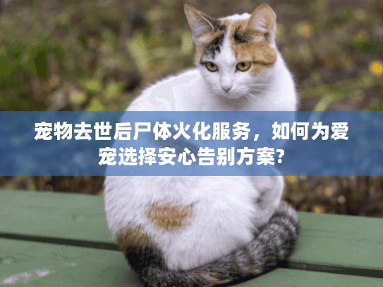 宠物去世后尸体火化服务，如何为爱宠选择安心告别方案?