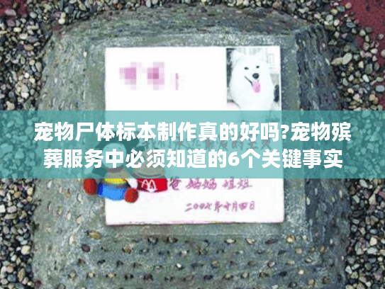 宠物尸体标本制作真的好吗?宠物殡葬服务中必须知道的6个关键事实