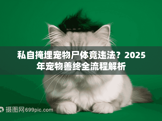 私自掩埋宠物尸体竟违法？2025年宠物善终全流程解析