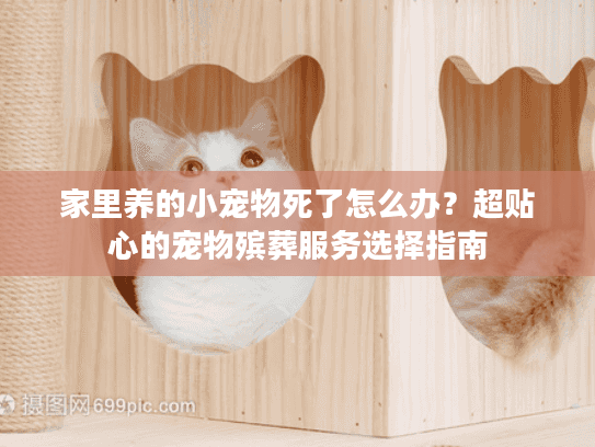 家里养的小宠物死了怎么办？超贴心的宠物殡葬服务选择指南