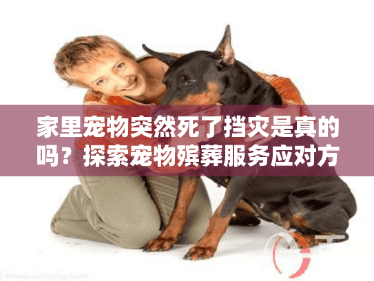 家里宠物突然死了挡灾是真的吗?探索宠物殡葬服务应对方案 家里宠物突然死了挡灾是真的吗?探索宠物殡葬服务应对方案