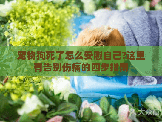 宠物狗死了怎么安慰自己?这里有告别伤痛的四步指南