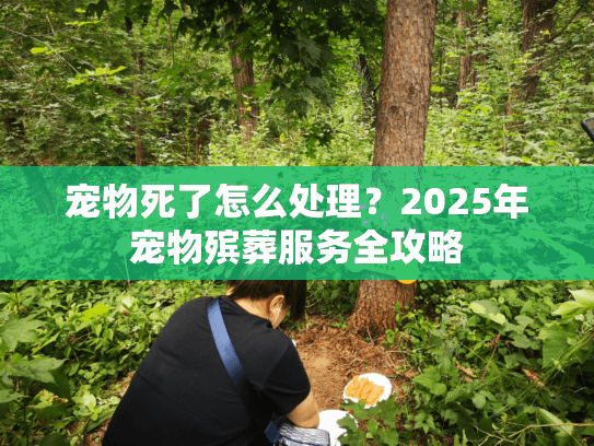 宠物死了怎么处理?2025年宠物殡葬服务全攻略 宠物死了怎么处理?2025年宠物殡葬服务全攻略