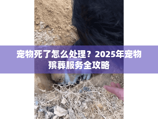 宠物死了怎么处理?2025年宠物殡葬服务全攻略 宠物死了怎么处理?2025年宠物殡葬服务全攻略