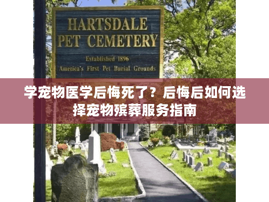 学宠物医学后悔死了？后悔后如何选择宠物殡葬服务指南