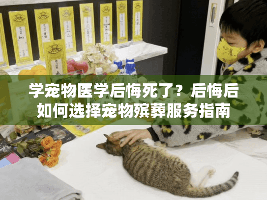学宠物医学后悔死了？后悔后如何选择宠物殡葬服务指南