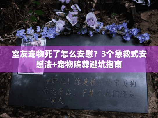 室友宠物死了怎么安慰？3个急救式安慰法+宠物殡葬避坑指南