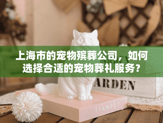上海市的宠物殡葬公司，如何选择合适的宠物葬礼服务？