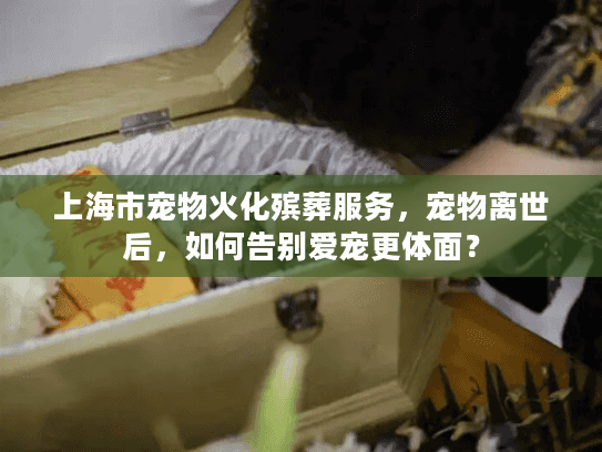 上海市宠物火化殡葬服务，宠物离世后，如何告别爱宠更体面？
