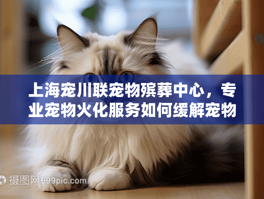 上海宠川联宠物殡葬中心，专业宠物火化服务如何缓解宠物主人的悲伤？