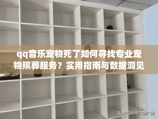 qq音乐宠物死了如何寻找专业宠物殡葬服务？实用指南与数据洞见