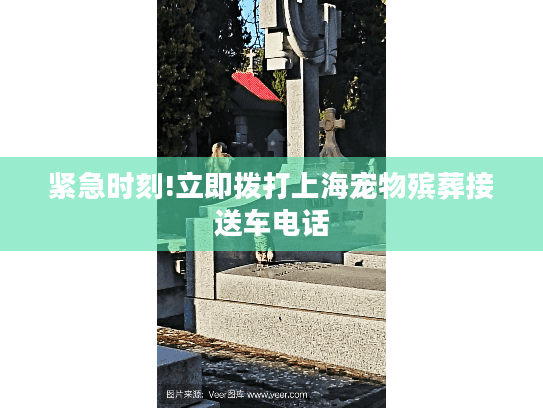 紧急时刻!立即拨打上海宠物殡葬接送车电话
