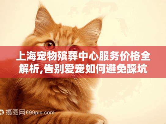 上海宠物殡葬中心服务价格全解析,告别爱宠如何避免踩坑?