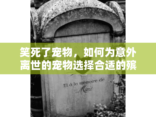 笑死了宠物，如何为意外离世的宠物选择合适的殡葬服务？