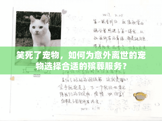 笑死了宠物，如何为意外离世的宠物选择合适的殡葬服务？