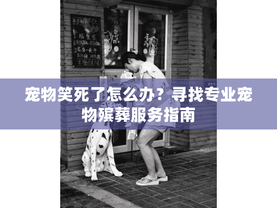 宠物笑死了怎么办？寻找专业宠物殡葬服务指南