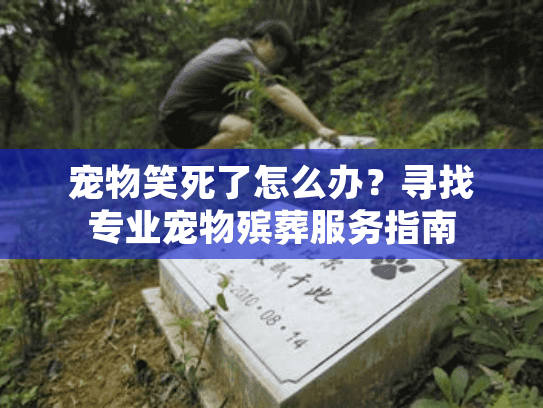 宠物笑死了怎么办？寻找专业宠物殡葬服务指南