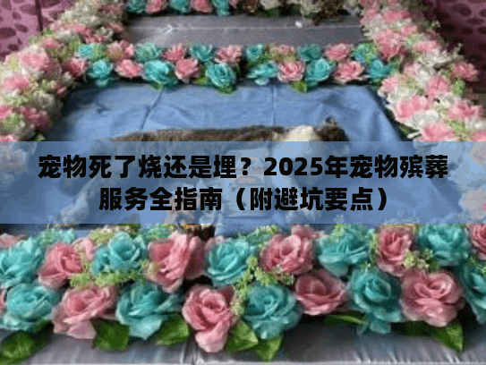 2025年宠物殡葬服务全指南图片