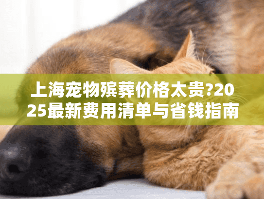 上海宠物殡葬价格太贵?2025最新费用清单与省钱指南