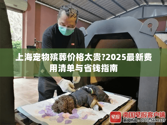 上海宠物殡葬价格太贵?2025最新费用清单与省钱指南