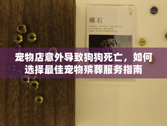宠物店意外导致狗狗死亡，如何选择最佳宠物殡葬服务指南