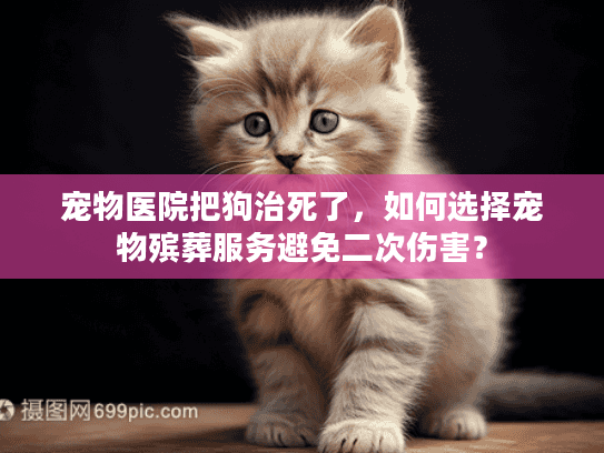 宠物医院把狗治死了，如何选择宠物殡葬服务避免二次伤害？