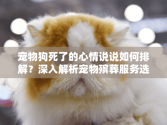 宠物狗死了的心情说说如何排解？深入解析宠物殡葬服务选择指南