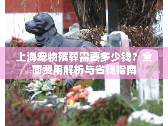 上海宠物殡葬需要多少钱？全面费用解析与省钱指南