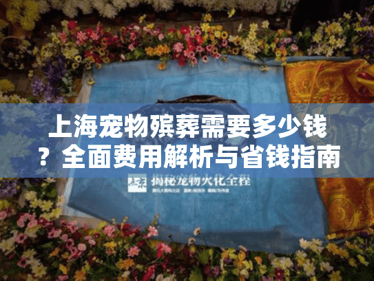 上海宠物殡葬需要多少钱？全面费用解析与省钱指南