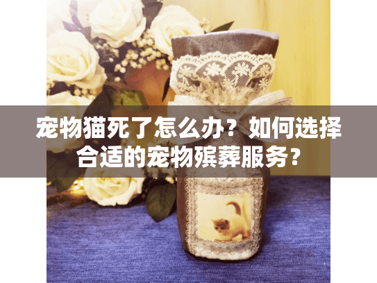 宠物猫死了怎么办？如何选择合适的宠物殡葬服务？
